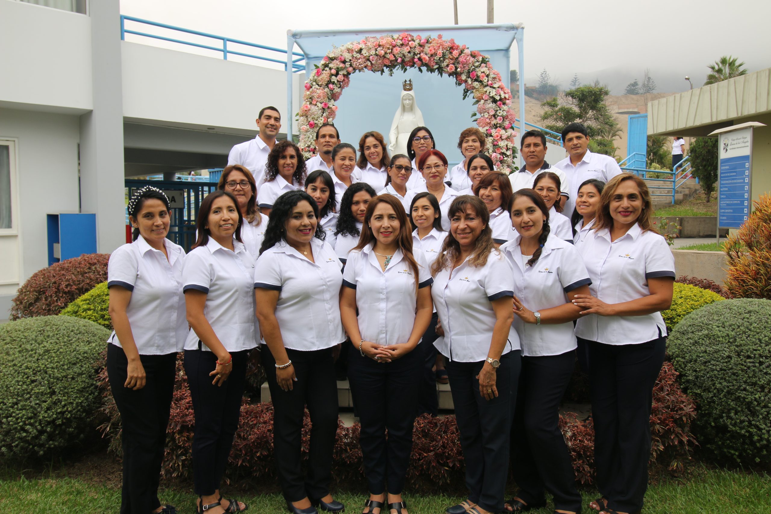 docentes
