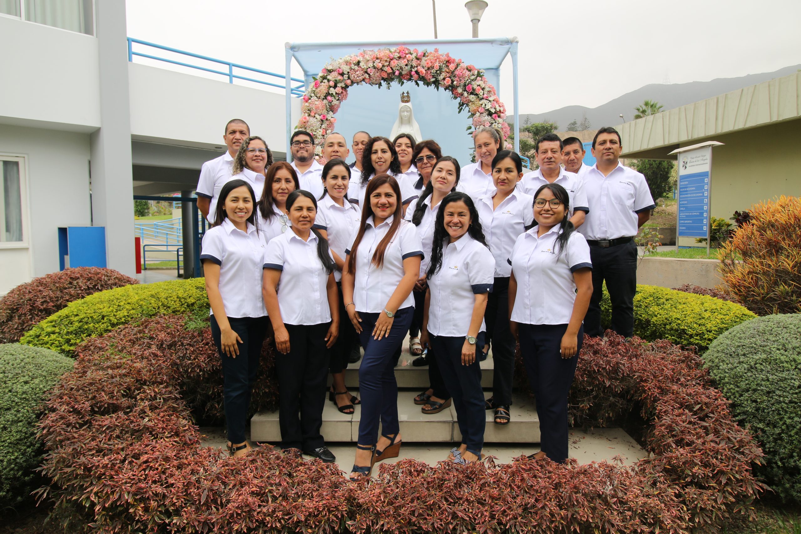 docentes