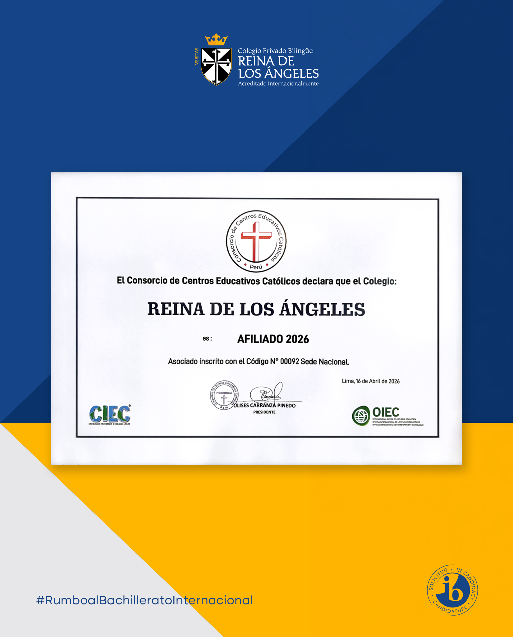 diplom04